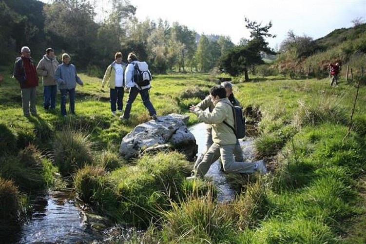 Plan d'eau de Lastic