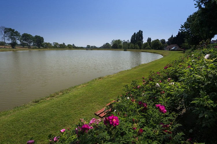 Étang - Deux-Chaises