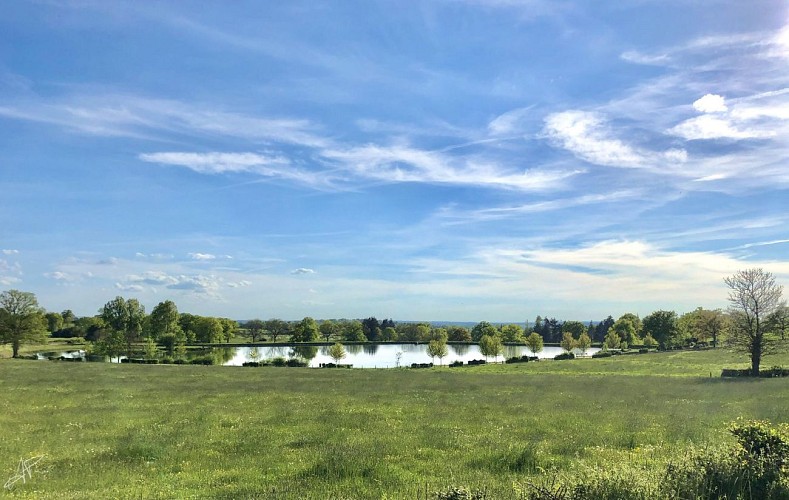 Plan d'eau du Verger