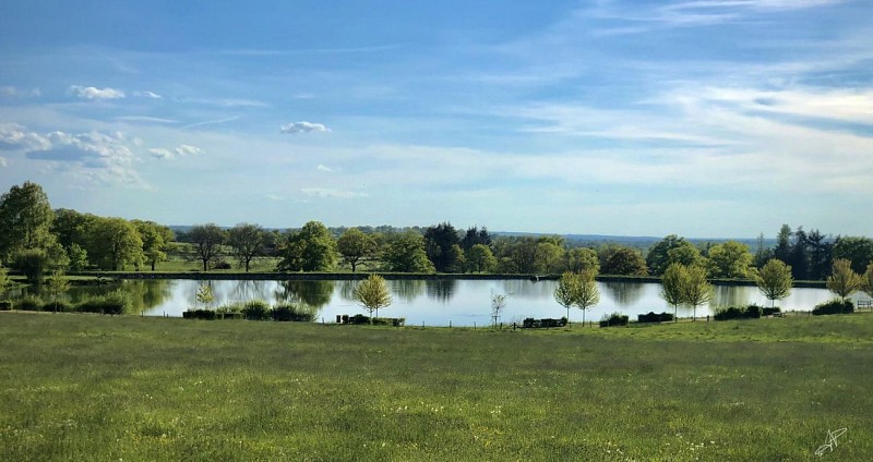 Plan d'eau du Verger