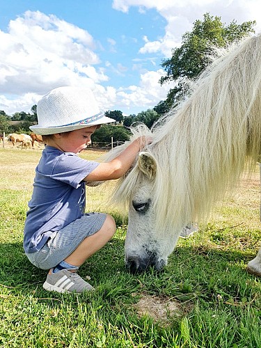 Centre équestre de Cléa
