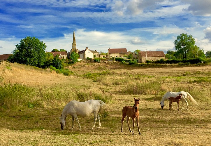Centre équestre de Cléa