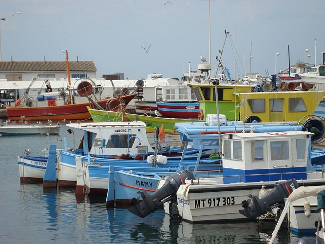 Port de Carro