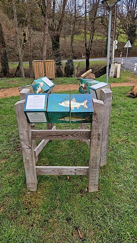 Pêcher au plan d'eau de Trades