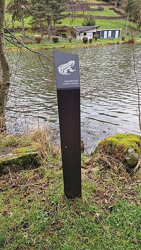 Pêcher au plan d'eau de Trades