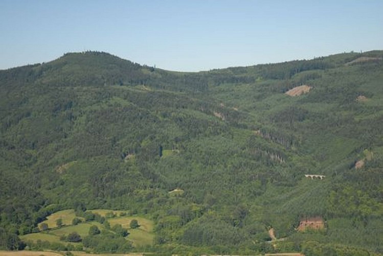 Géocache du Mont Saint Rigaud