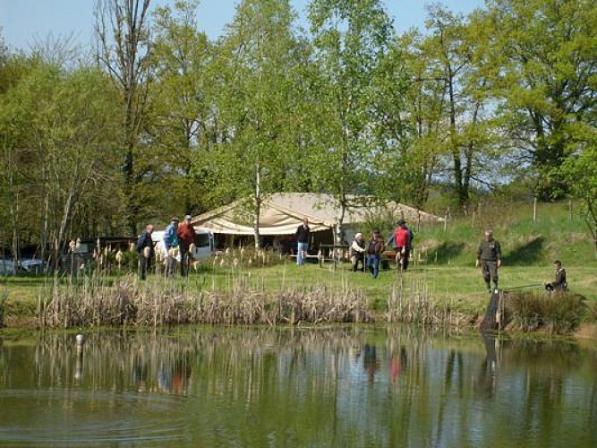 Etang de fenêtres