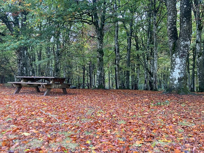 Aire de pique-nique de la Tour Matagrin