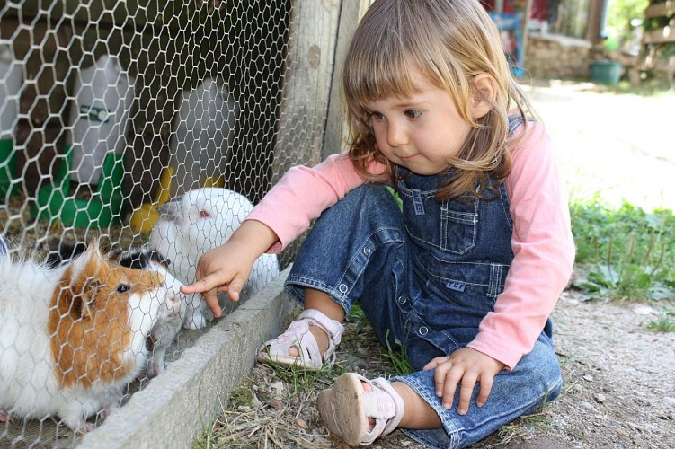 Ferme animalière de Bellevue