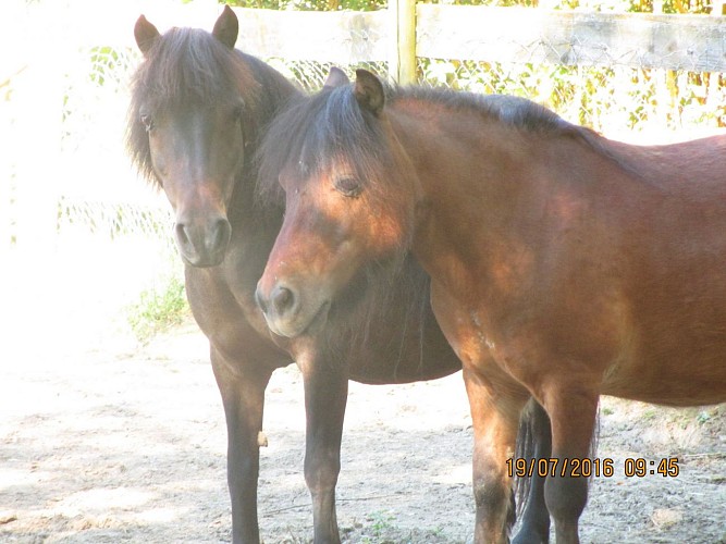 Ferme animalière de Bellevue