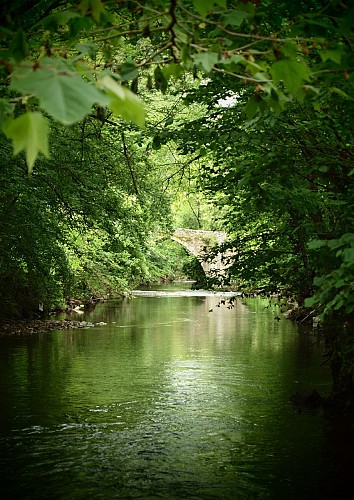 Sentier Botanique "Les secrets de la rivière"