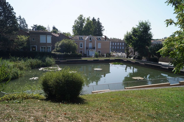 Etang du jardin public