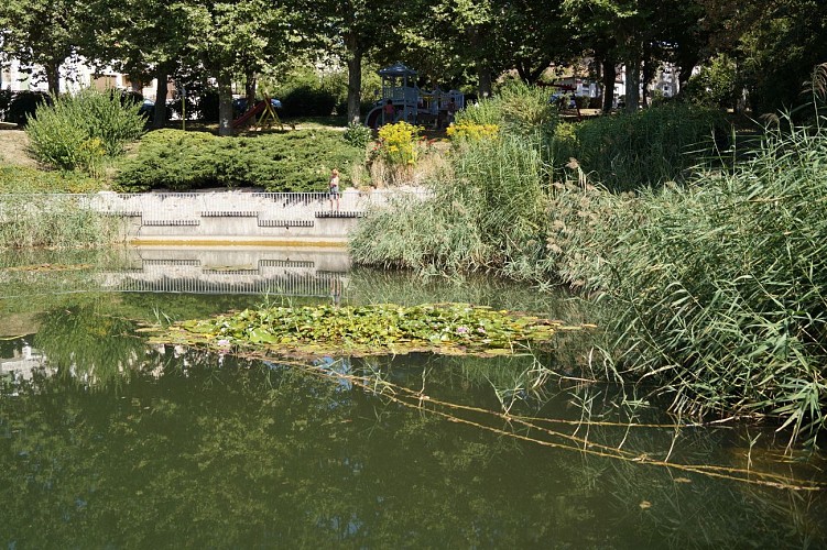 Etang du jardin public