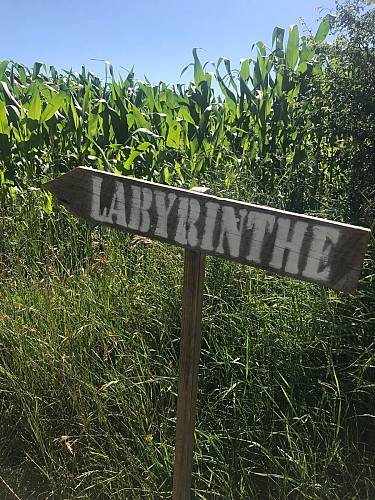 Labyrinthe de maïs - Ferme des Délices Foréziens