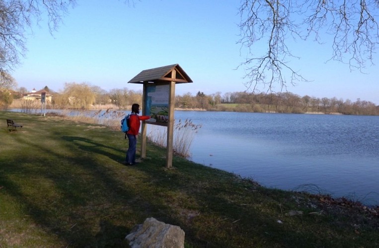 Observatoires de l'Etang Chapelier