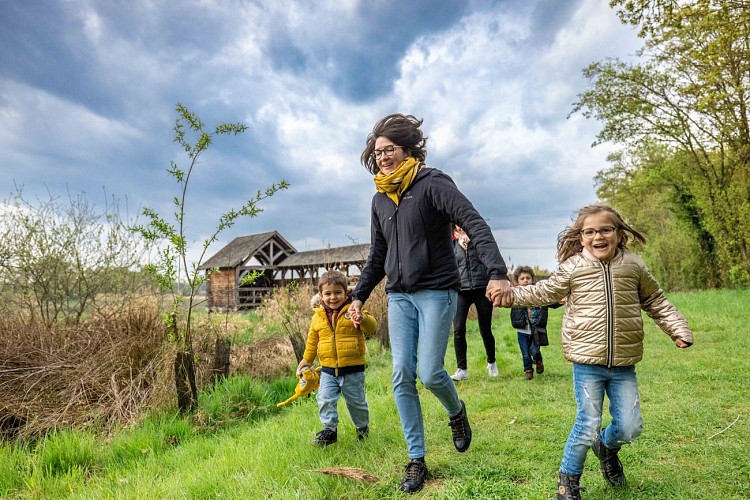 Observatorium des Schachtelhalmteichs