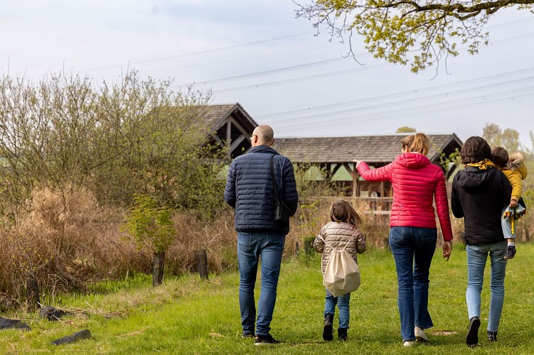 Observatorium des Schachtelhalmteichs