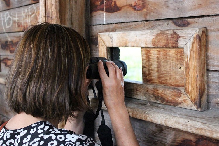 Observatorium des Schachtelhalmteichs