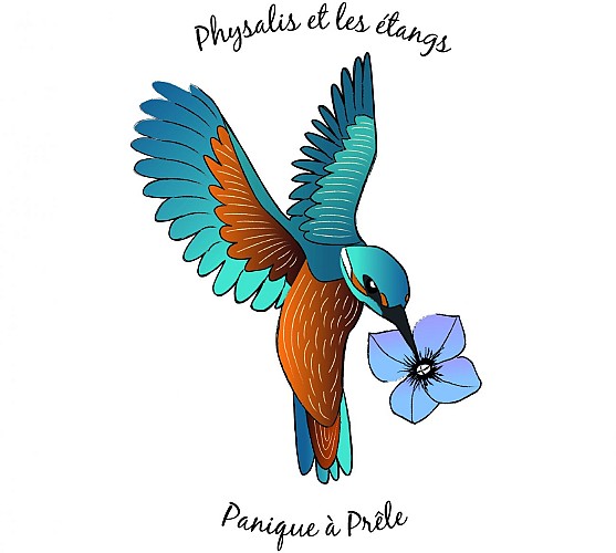 Juego "Physalis y los estanques - Pánico en la cola de caballo
