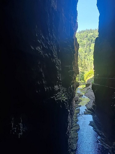 Abismo de Bramabiau