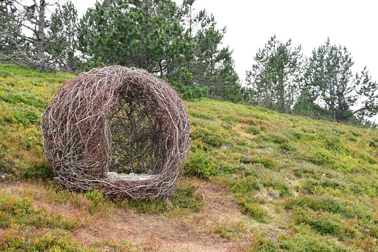 Land-art trail Les Balcons de l'Aigoual