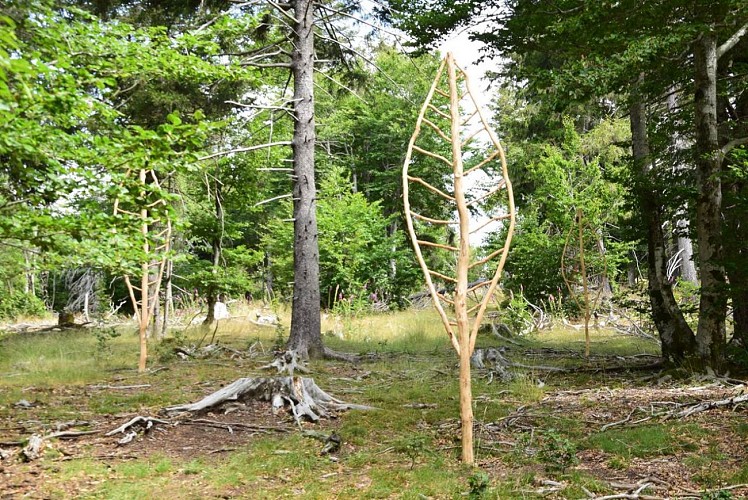 Parcours Land-art Les Balcons de l'Aigoual