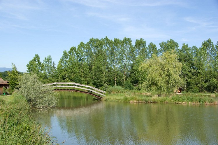 Etangs Tapon et de Refeuille