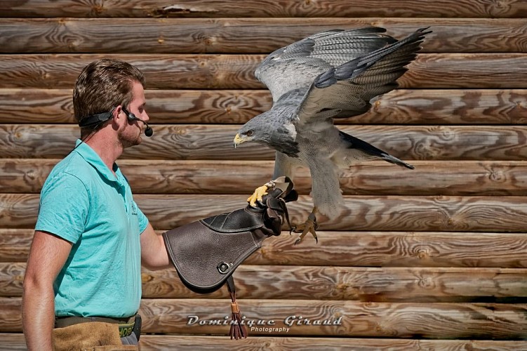 Zoo : Le Domaine des Fauves