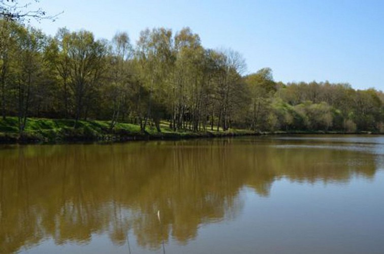 Picnic area - Etang Magaud