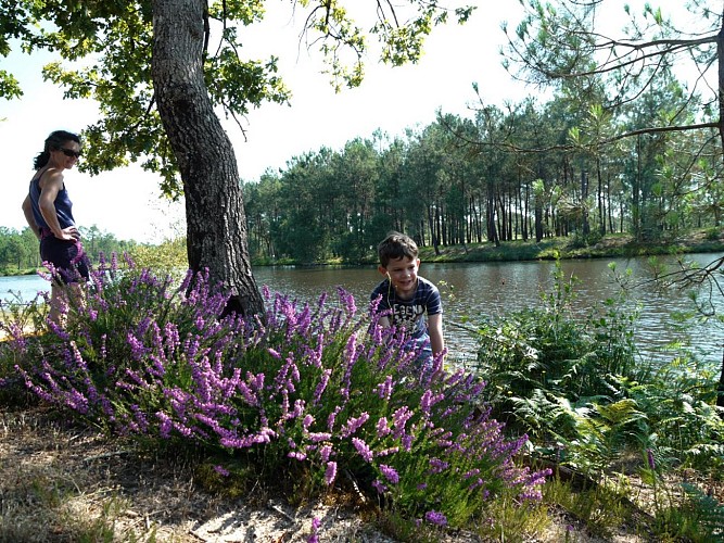 Centro de ocio del lago Baron-Desqueyroux