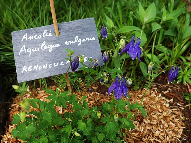 Sentier nature Terra Alta