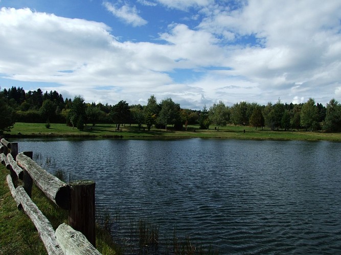 Plan d'eau de Védrines Saint-Loup - Pêche