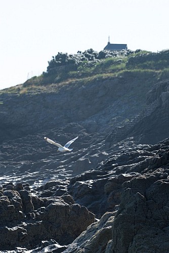 Les rochers de Rothéneuf - Saint-Malo