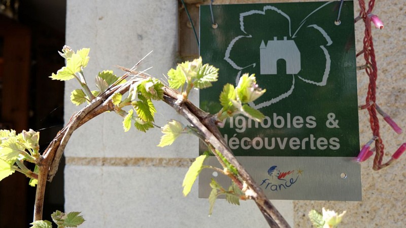 La destination "vignobles en Vallée du Loir" labellisée Vignobles & Découvertes