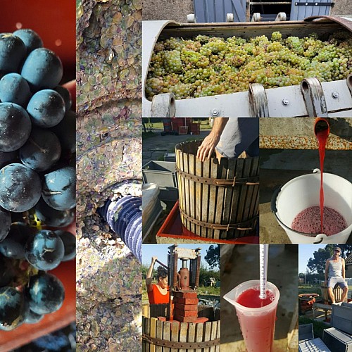 Domaine du Bois Rond