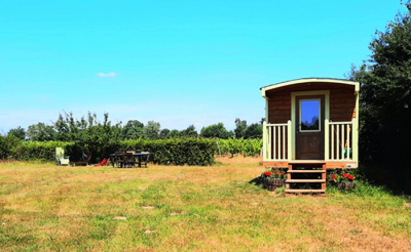 Une roulotte dans les vignes