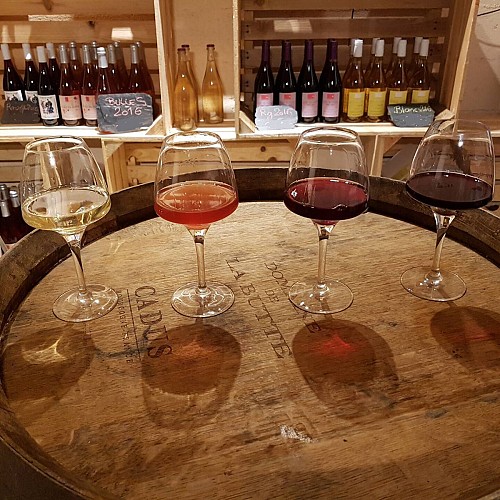 Une roulotte dans les vignes