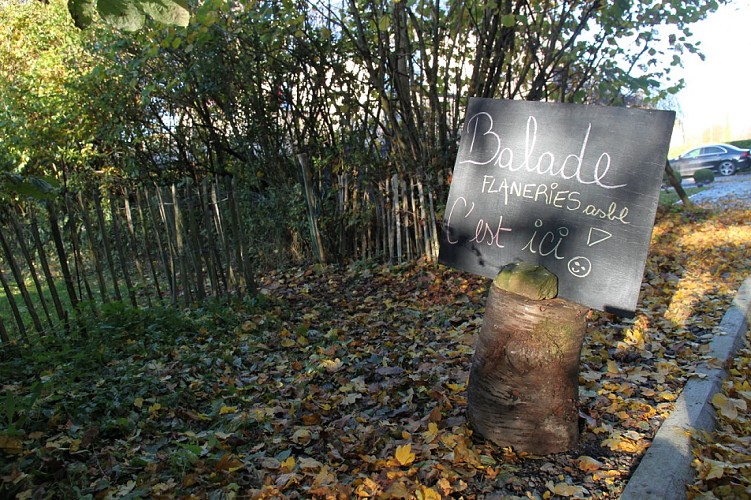 L'asbl-Flâneries-balade