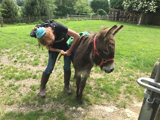 Balade avec un âne - Flâneries asbl