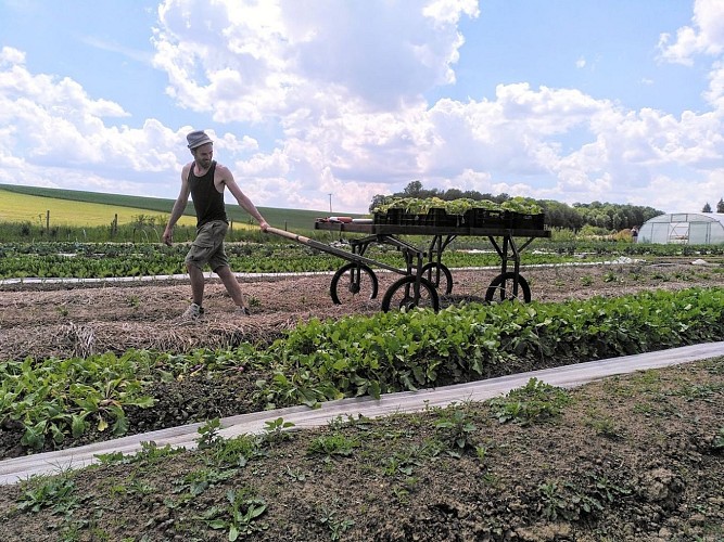 Ferme de la Préale 4