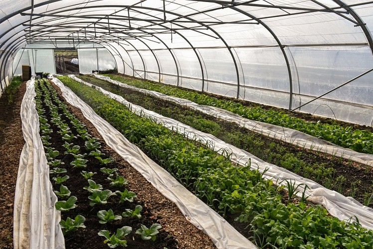 Ferme de la Préale 6