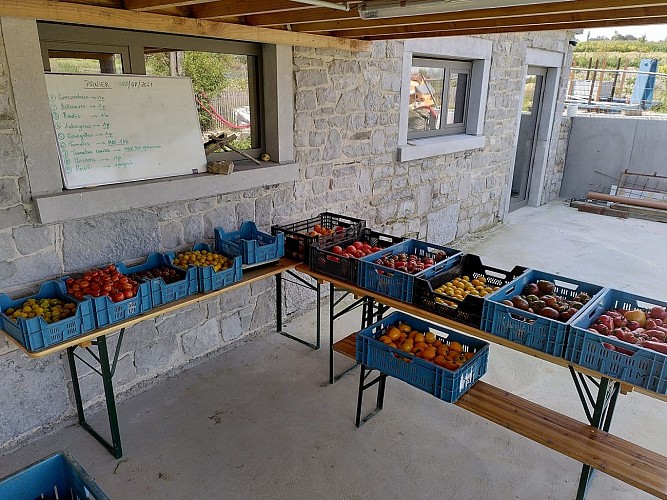 Ferme de la Préale - Légumes