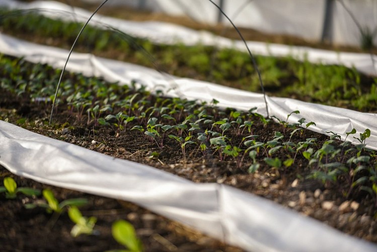 Ferme de la Préale 1