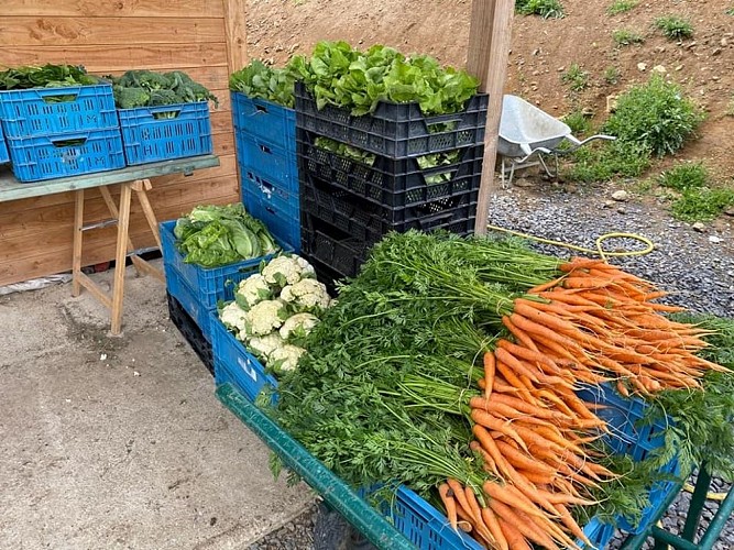 Ferme de la Préale 5