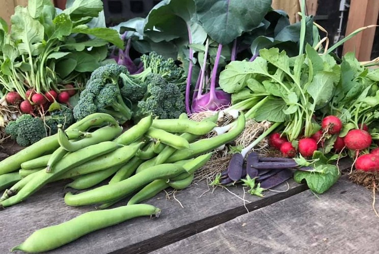 Légumes Etcétéra