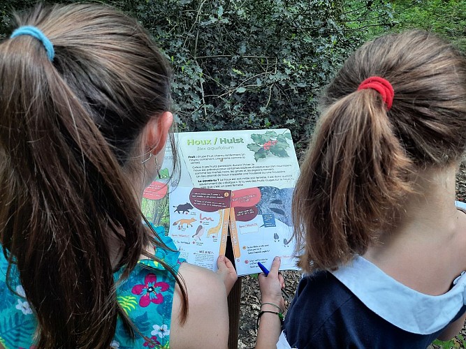 Mes Carnets d'Aventures, jeu de piste dans le bois didactique de Courrière