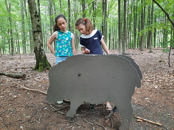 Mes Carnets d'Aventures, jeu de piste dans le bois didactique de Courrière