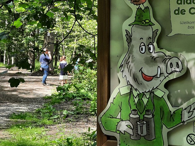 Mes Carnets d'Aventures, jeu de piste dans le bois didactique de Courrière