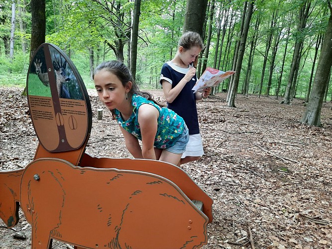 Mes Carnets d'Aventures, jeu de piste dans le bois didactique de Courrière