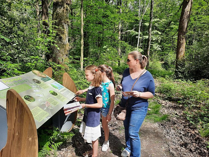 Mes Carnets d'Aventures, jeu de piste dans le bois didactique de Courrière
